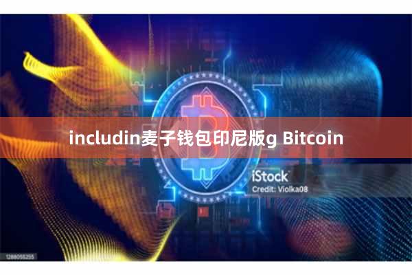includin麦子钱包印尼版g Bitcoin