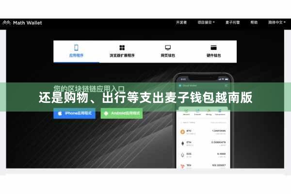 还是购物、出行等支出麦子钱包越南版