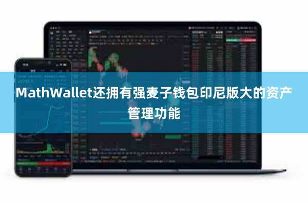 MathWallet还拥有强麦子钱包印尼版大的资产管理功能